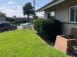 Bush Trimming by Keith Dalke for Ian T. in San Diego, CA