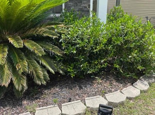 Weeding by Stuart Moyes for Tarik H. in Summerville, SC