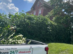 Bush Trimming by Justin Pickens for Brandy S. in Columbus, OH