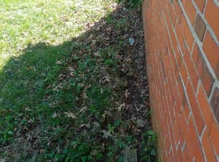 Cleanups by Carvell Smith for Tammy D. in Baltimore, MD
