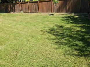 Stacey S.'s Lawn Mowing service result