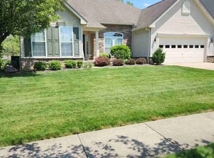 Albert R.'s Lawn Maintenance service result