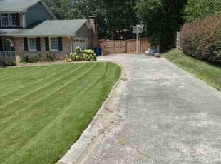 Michelle M.'s Grass Cutting service result