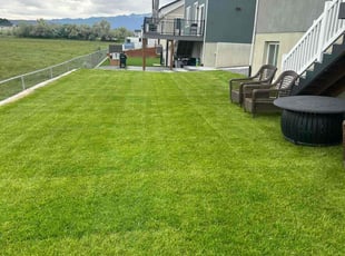 Ammar I.'s Lawn Service service result