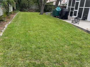 Cecilia H.'s Lawn Mowing service result