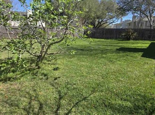 Paula C.'s Lawn Mowing service result
