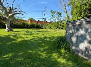 Ami R.'s Lawn Mowing Service service result