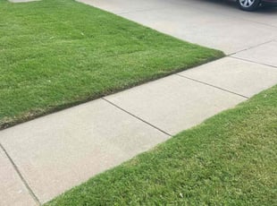 Zihan Z.'s Grass Cutting service result