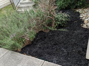 Mulching by Marc Davis for Renae B. in San Antonio, TX