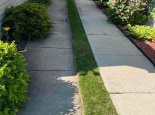 Weeding by Johnathan Carter for Lauren L. in Crown Point, IN
