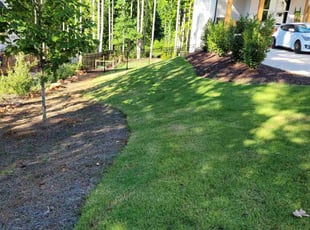 Michelle R.'s Grass Cutting service result