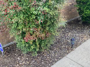 Cleanups by Brett Knapp for Pamela S. in North Richland Hills, TX