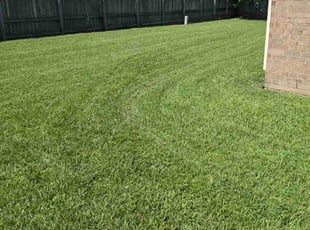Erin B.'s Lawn Care service result