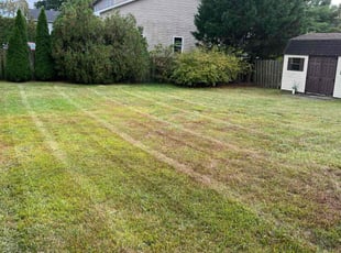 Beverly H.'s Lawn Service service result