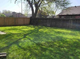 Scarlett M.'s Lawn Care service result