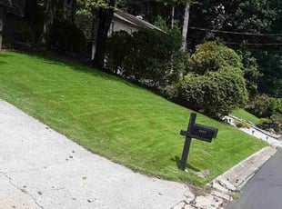 Derek P.'s Lawn Care service result