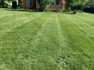 Braylon H.'s Lawn Care service result