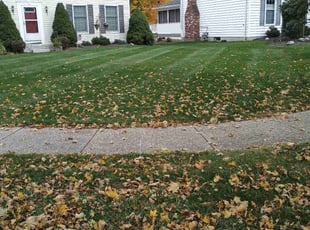 Margaret W.'s Lawn Maintenance service result