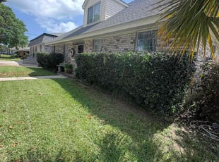 Bush Trimming by Richard Thomas for Chris N. in Metairie, LA
