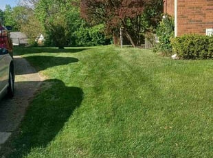 Megan B.'s Lawn Maintenance service result