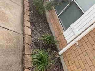 Weeding by Briana Rivera for Javier V. in Richmond, TX