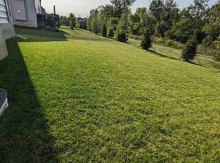 Heidi N.'s Lawn Mowing service result