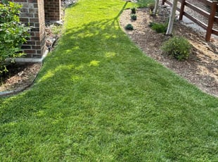Sandra S.'s Yard Cutting service result
