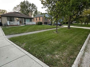 Joe Y.'s Yard Cutting service result