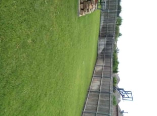Richard P.'s Lawn Service service result