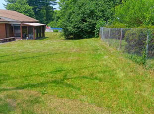 Opal T.'s Lawn Mowing Service service result