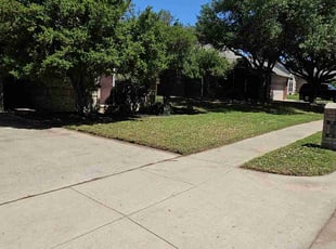 Ashley M.'s Lawn Mowing Service service result