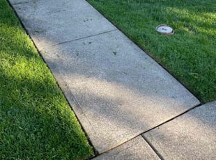 Susan B.'s Lawn Service service result