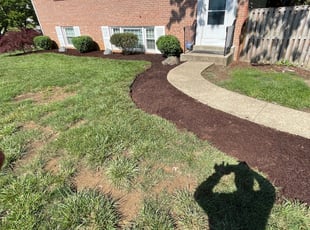 Mulching by Fidel Rodriguez for Tasha M. in Temple Hills, MD