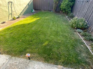 Gabriel J.'s Lawn Service service result