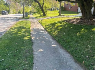 Joseph m.'s Lawn Care service result