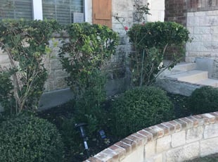 Bush Trimming by Carlos Cortez for Kathy L. in San Antonio, TX
