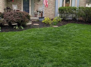 Sheri B.'s Lawn Maintenance service result