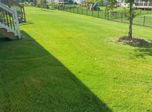 Yeiza L.'s Grass Cutting service result