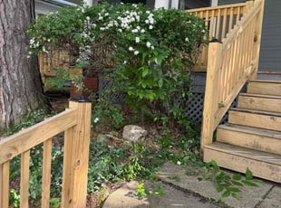 Bush Trimming by Tabitha Drager for Jeff D. in Rochester, NY