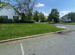 Shaqurah Z.'s Yard Cutting service result