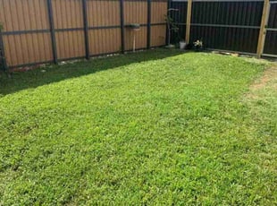 Maritza T.'s Lawn Maintenance service result