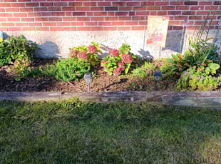 Weeding by Shavon Green for Kathy H. in Parkville, MD