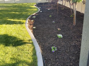 Landscaping by Jace Evi for Erica G. in Layton, UT