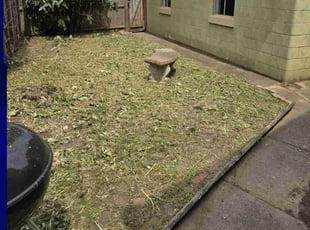 Cleanups by Hartford Kaufman Jr. for Allen B. in Louisville, KY
