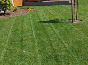 Tonya E.'s Lawn Service service result