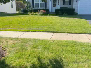 Dave W.'s Lawn Service service result