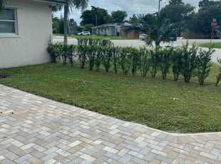 Walter j.'s Yard Cutting service result