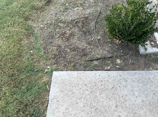 Weeding by Omar Huerta for Josh G. in Frisco, TX
