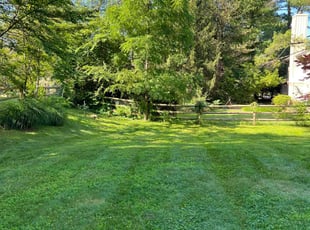 Juanita A.'s Lawn Service service result