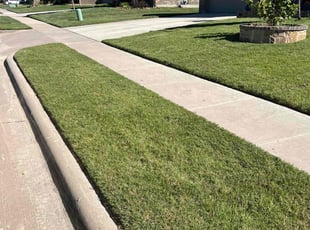 Tommy M.'s Lawn Mowing service result
